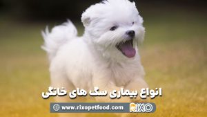 انواع بیماری سگ های خانگی