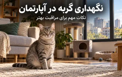نگهداری گربه در آپارتمان